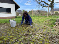 /album/2023/am-dorfhaus-7-jpg/